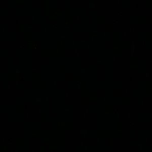 Meet your Posher, Colsen